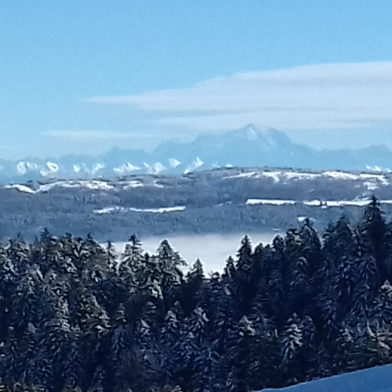 Circuit ski de fond le renon