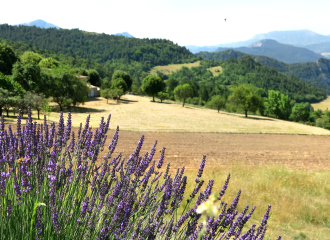 La Grange aux volets bleus