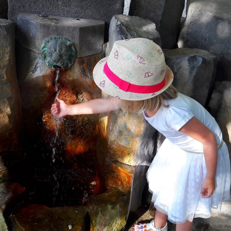 The mineral water spring