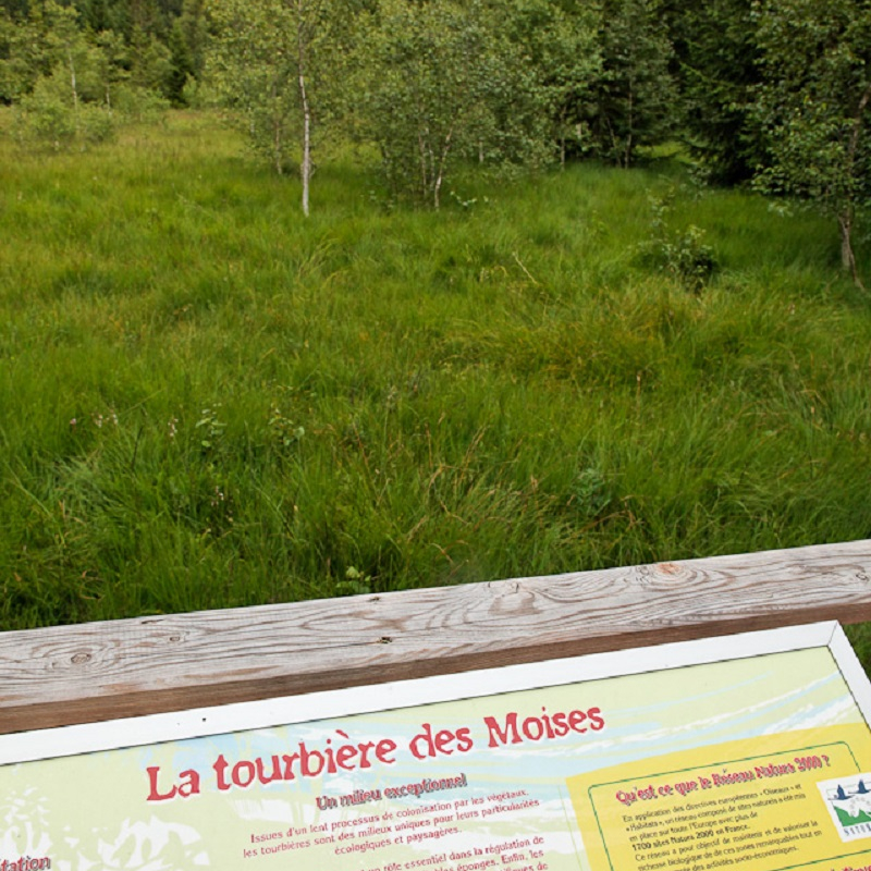 La Tourbière des Moises