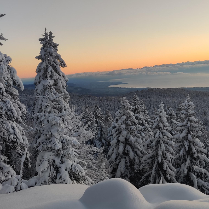 Sur les pistes de fond de la Vattay