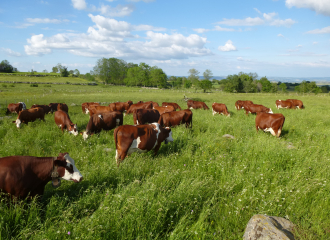 La ferme du Jarry