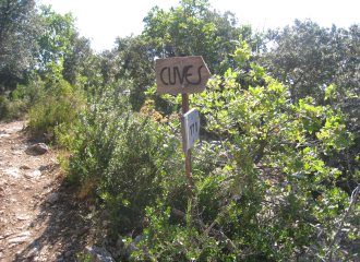 Les cuves lapidaires de La Garde Adhémar