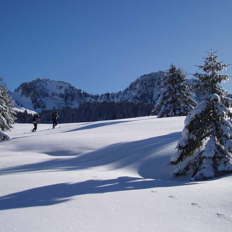 Plateau des Glières