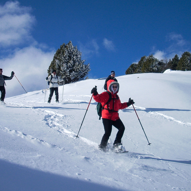 Randonnée en raquettes sur les Hauts Plateaux du Vercors