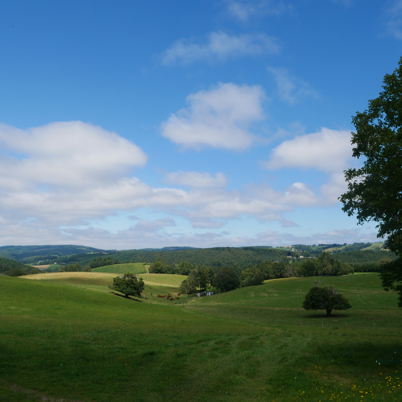 Le Chemin des chèvres