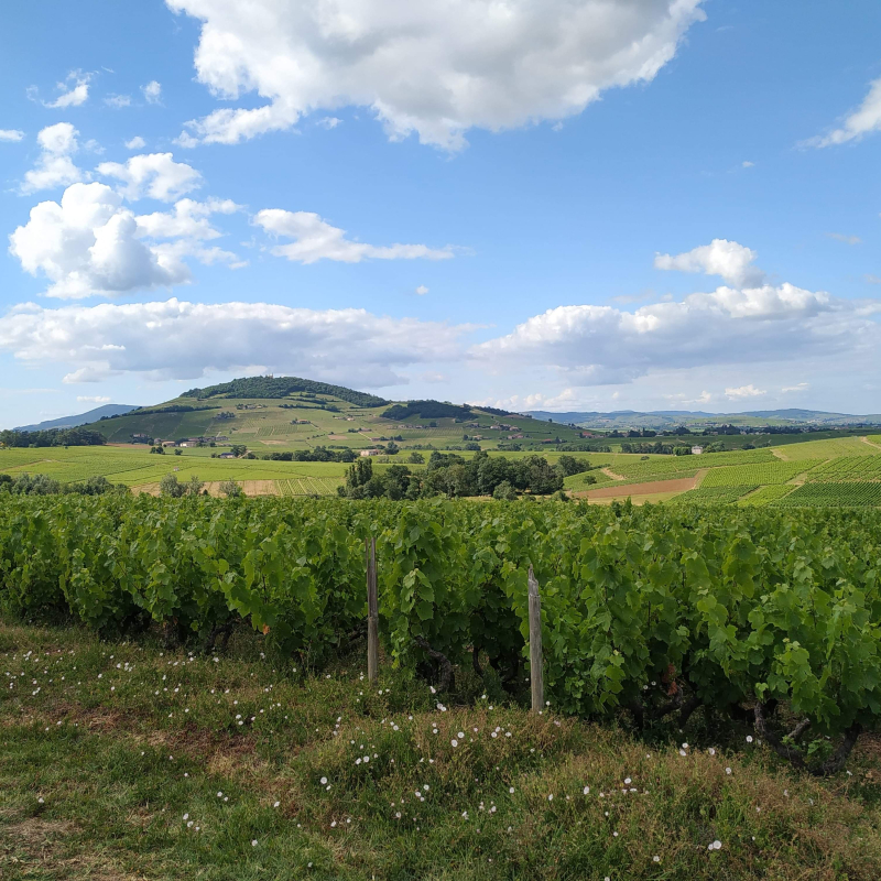 Domaine Chavrier