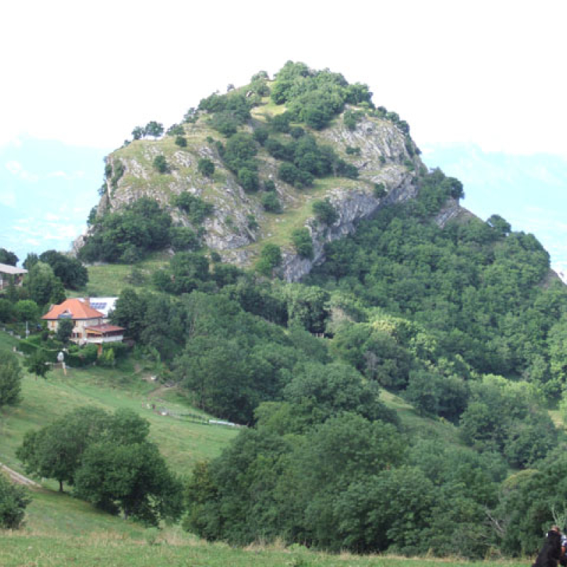 Domaine du Rocher Saint Loup