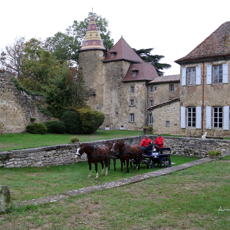 Chateau de Vallin