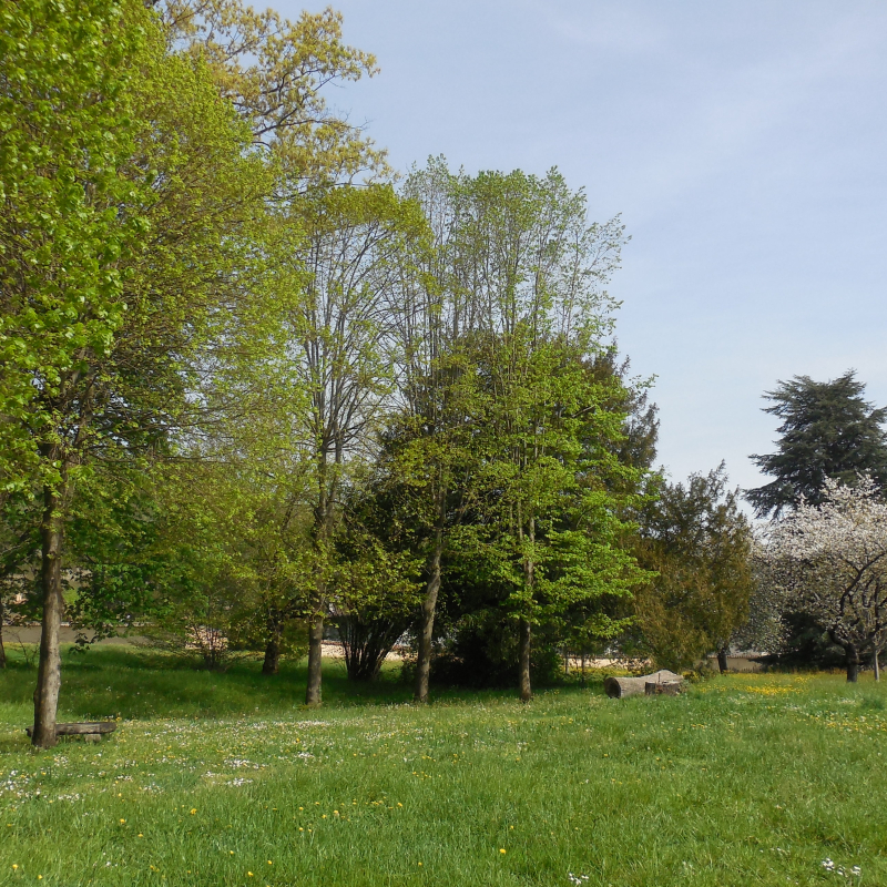 Parc de la Sathonette