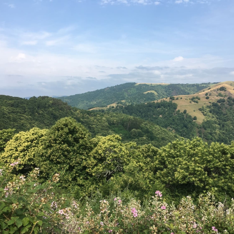 Rando pédestre - GR465 : Des Monts du Cantal à la Vallée du Lot