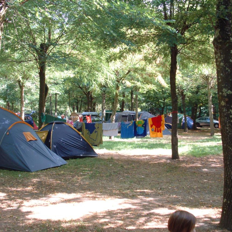 Barque Campsite