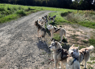 trikel wolf lénada-saint donat