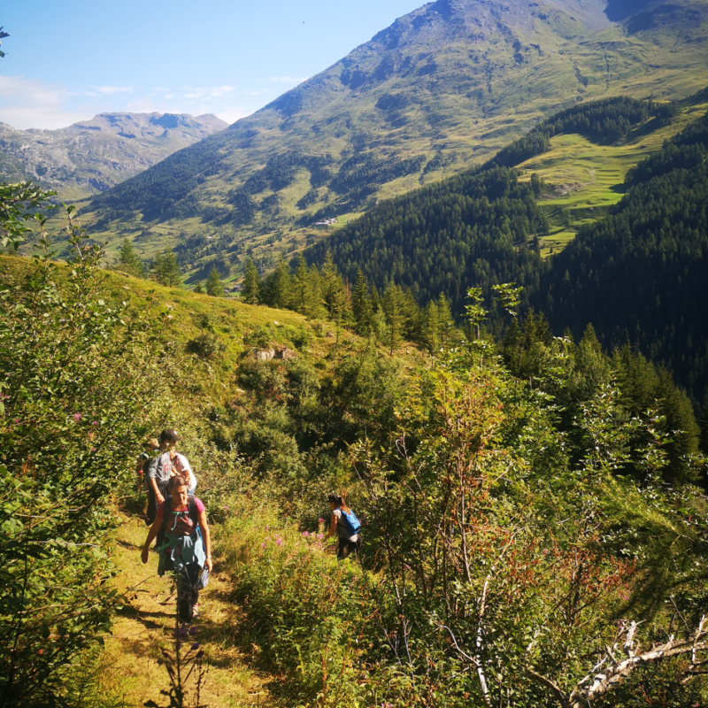 à l'approche des glaciers