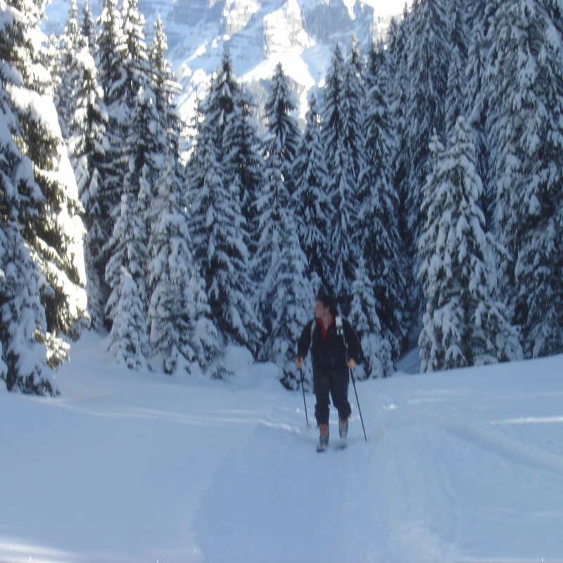 Cours de biathlon - ESF