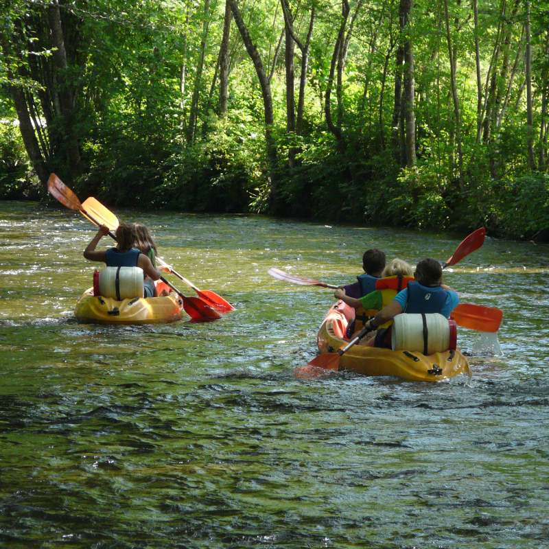 Canoë sur la Rive