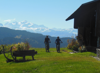 Vélo de montagne