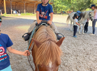 Les Poneys de la Y'Haute - 14 Jours