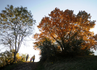 Eco-tours, Nature guides