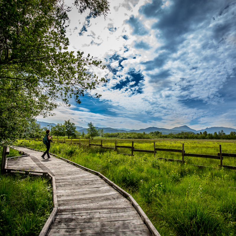 Sentier accessible