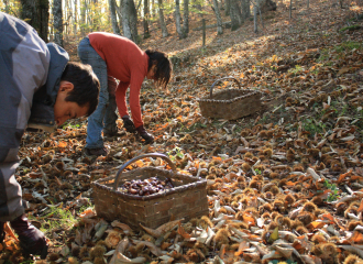 EARL La Forêt du Puy