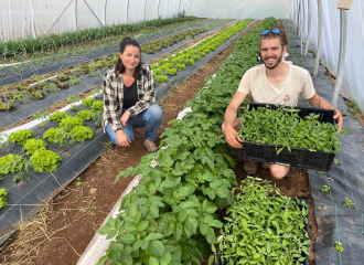 Le Potager de Loliva