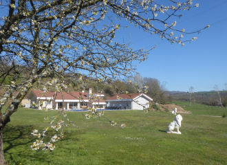 L'écrin de verdure