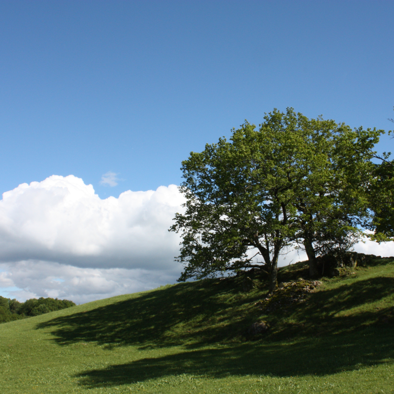 POINT DE VUE