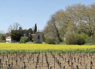 Domaine de Coucouzac