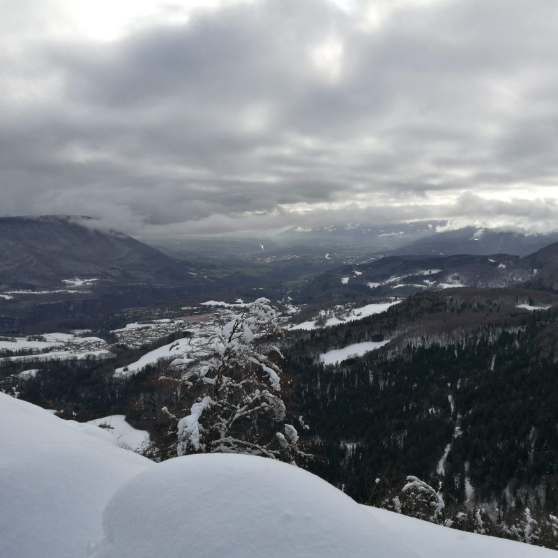 Les Avalanches