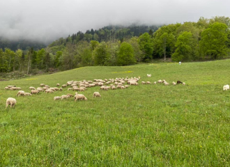 Ferme du Souillet