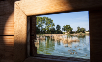 Observer les oiseaux en Dombes