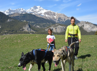 Cani-randonnée à Valloire