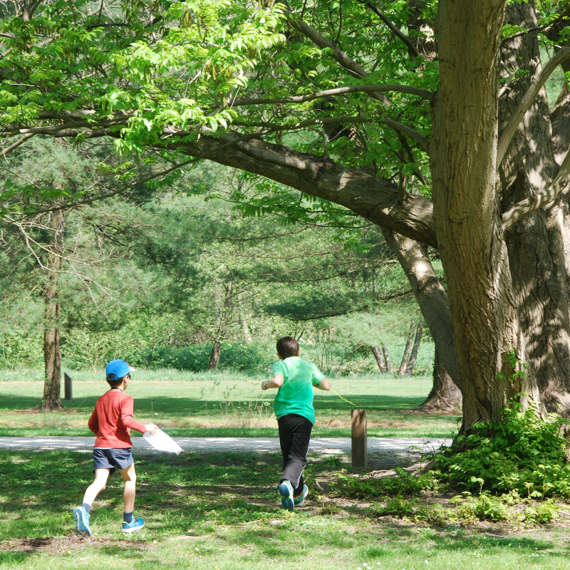 Photo parcours enfant