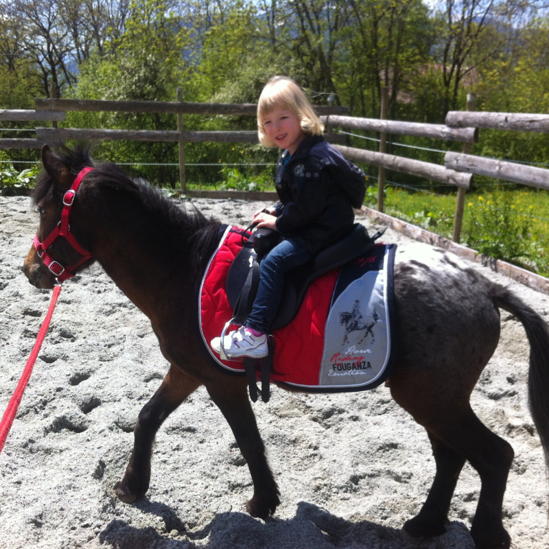 Location de poney - Les Paddocks du Mont Blanc