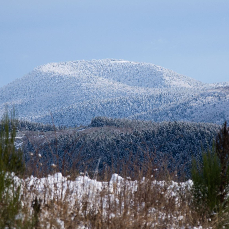 Le suc de Bauzon