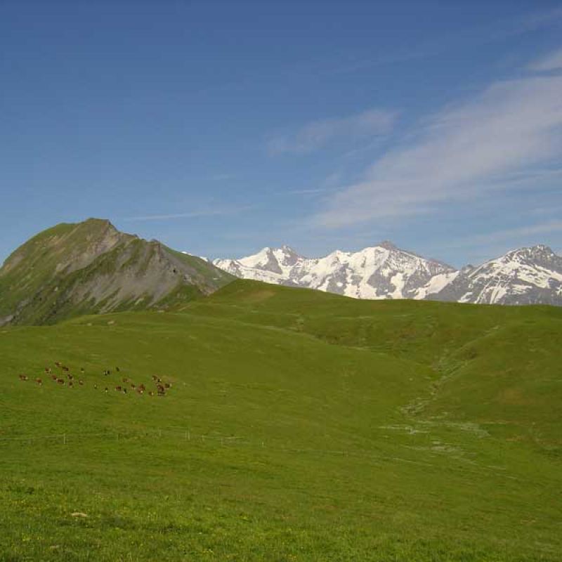 Col de Véry