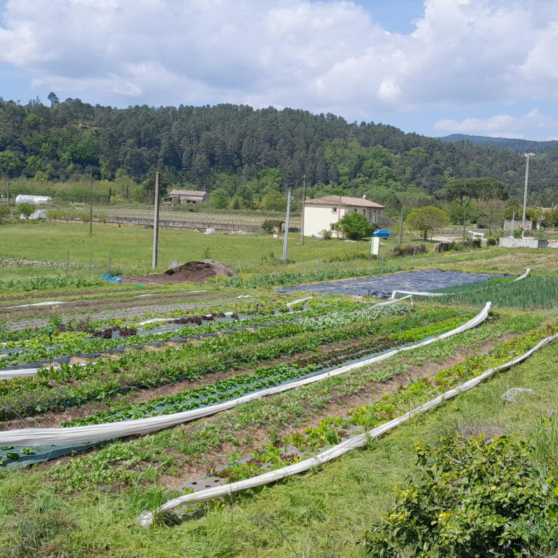 Les Jardins