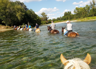 Guided Hike on horseback  - Equitation Chavetourte