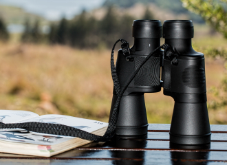 Observation et photographie de la faune des montagnes