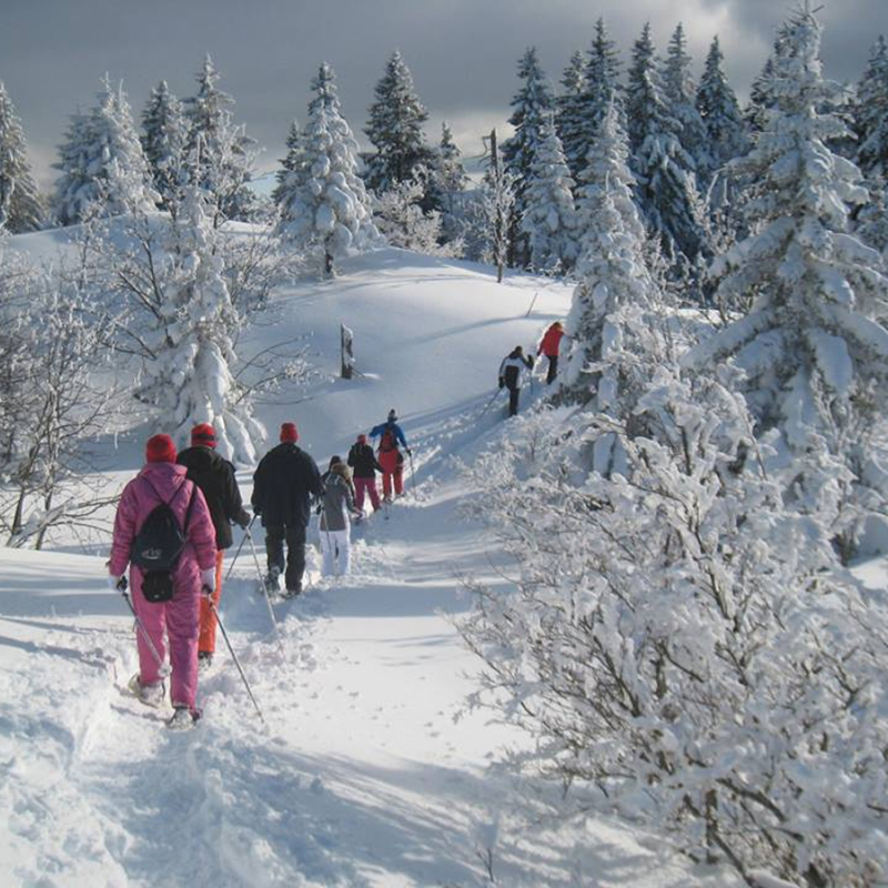 Randonnée accompagnée en raquettes à neige