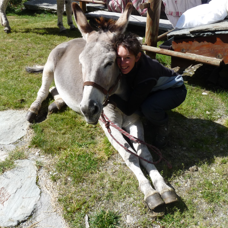 Ânes et randonnées with Nathalie in Aussois