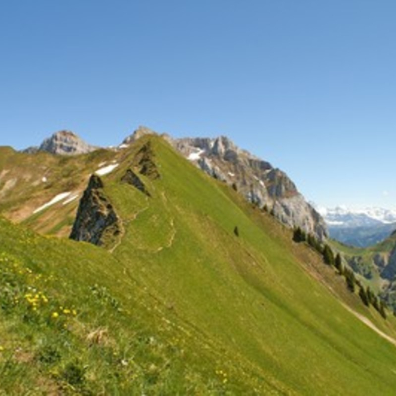 Le Col de Pavis