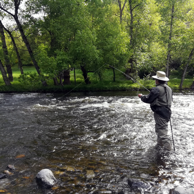 pêche à la mouche sur la rivière Allier à Langeac