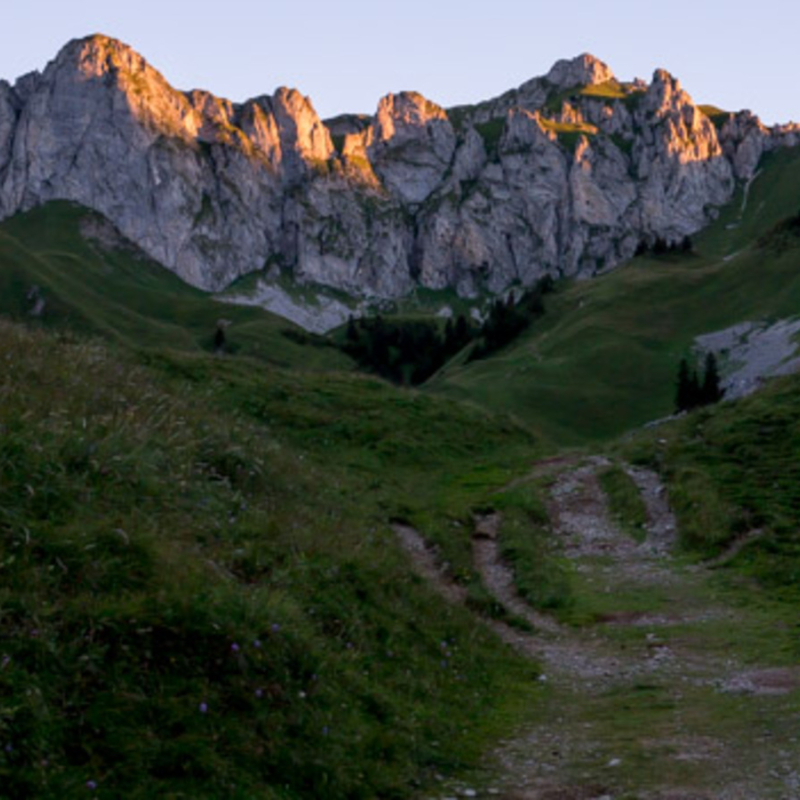 La Pointe des Pavis