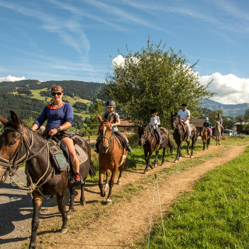 Centre équestre le Cheval de Feug