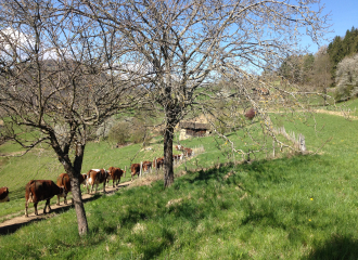 Ferme de la Grangette