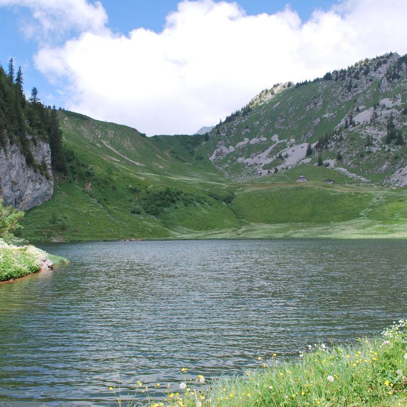 Lac d'Arvouin