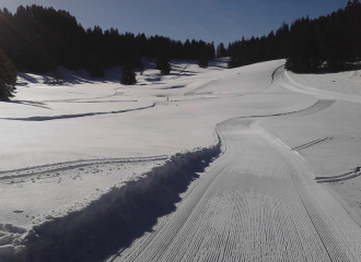 les pistes