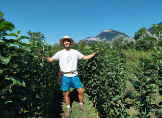 Vente d'arbres à la pépinière des Racines et des Fruits